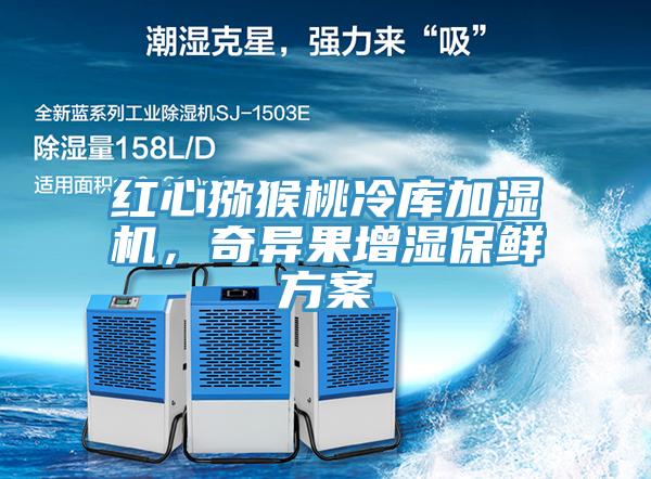 紅心獼猴桃冷庫加濕機，奇異果增濕保鮮方案