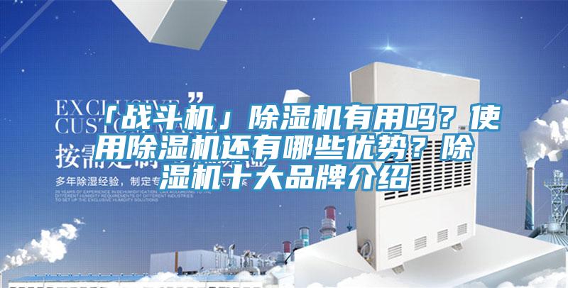 「戰(zhàn)斗機(jī)」除濕機(jī)有用嗎？使用除濕機(jī)還有哪些優(yōu)勢？除濕機(jī)十大品牌介紹