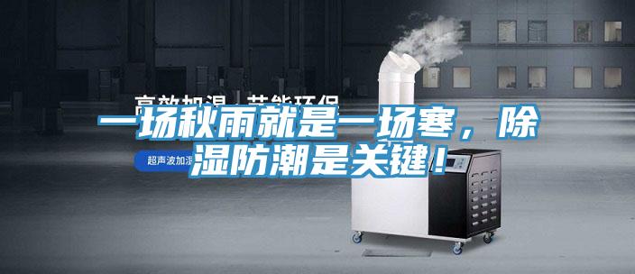 一場秋雨就是一場寒，除濕防潮是關鍵！