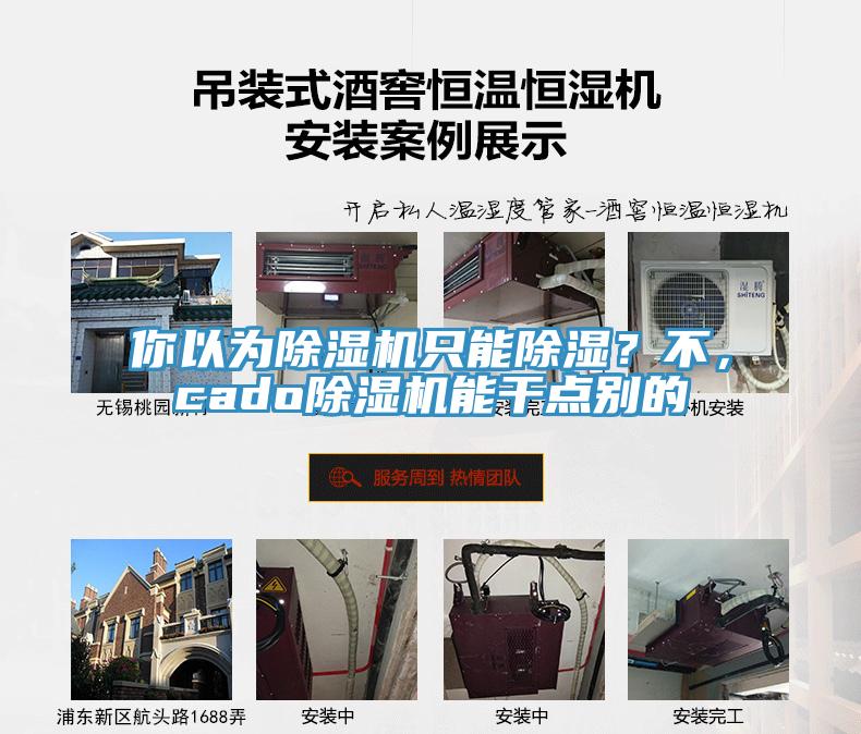 你以為除濕機只能除濕？不，cado除濕機能干點別的