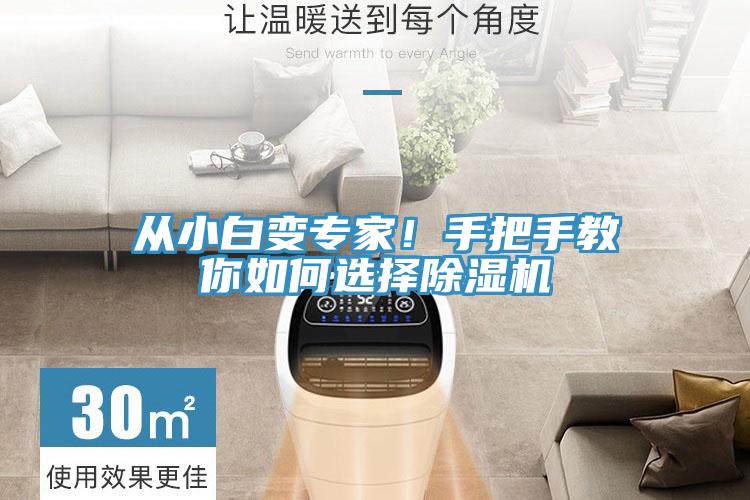 從小白變專家！手把手教你如何選擇除濕機