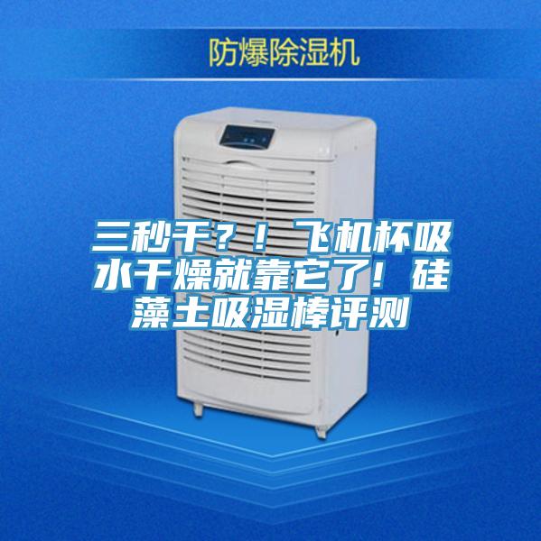 三秒干？! 飛機杯吸水干燥就靠它了! 硅藻土吸濕棒評測