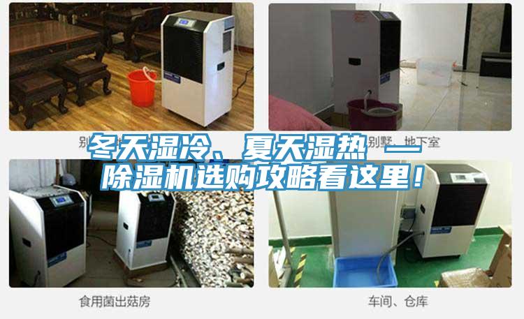 冬天濕冷、夏天濕熱 — 除濕機選購攻略看這里！