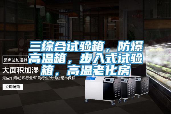 三綜合試驗箱，防爆高溫箱，步入式試驗箱，高溫老化房