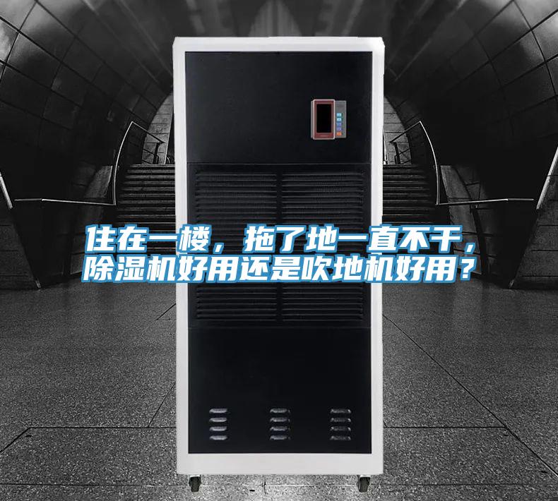 住在一樓，拖了地一直不干，除濕機好用還是吹地機好用？