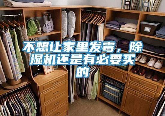 不想讓家里發霉，除濕機還是有必要買的