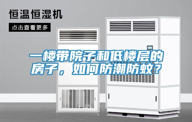 一樓帶院子和低樓層的房子，如何防潮防蚊？