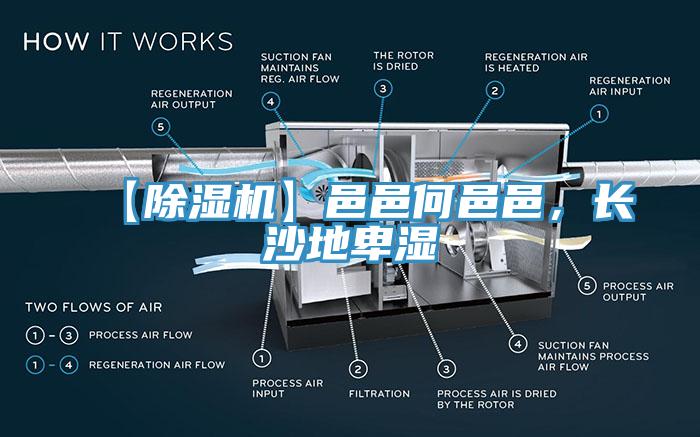 【除濕機(jī)】邑邑何邑邑，長沙地卑濕