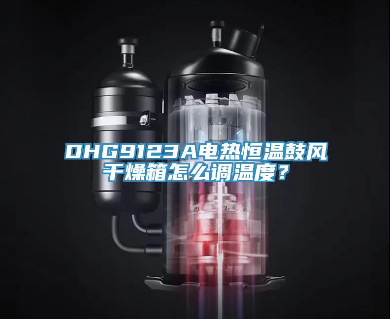 DHG9123A電熱恒溫鼓風干燥箱怎么調溫度？