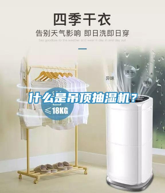 什么是吊頂抽濕機？