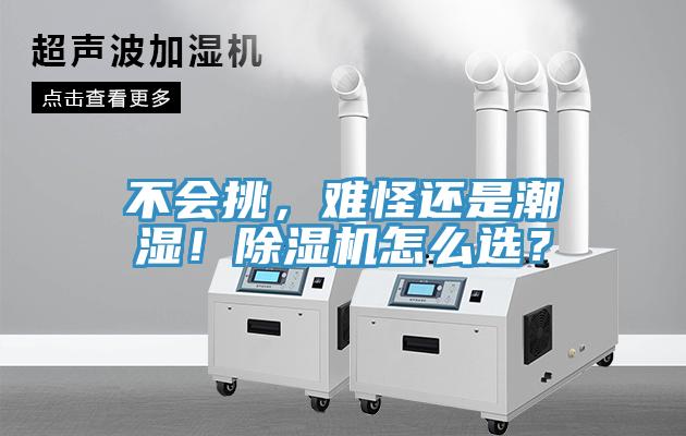 不會挑，難怪還是潮濕！除濕機(jī)怎么選？
