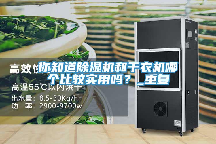 你知道除濕機和干衣機哪個比較實用嗎？_重復