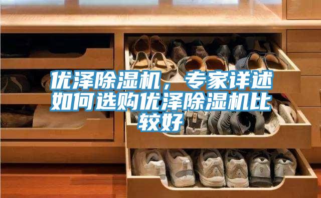優澤除濕機，專家詳述如何選購優澤除濕機比較好