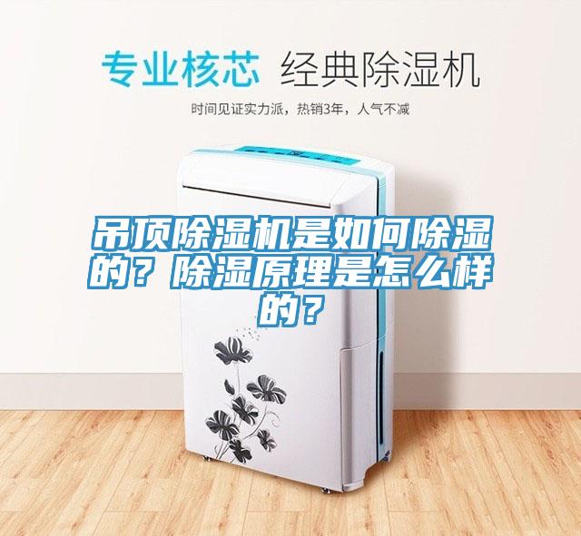 吊頂除濕機是如何除濕的？除濕原理是怎么樣的？