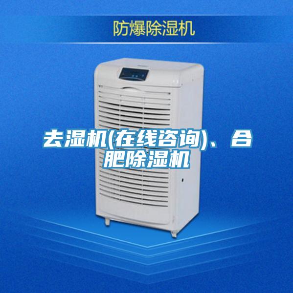 去濕機(在線咨詢)、合肥除濕機