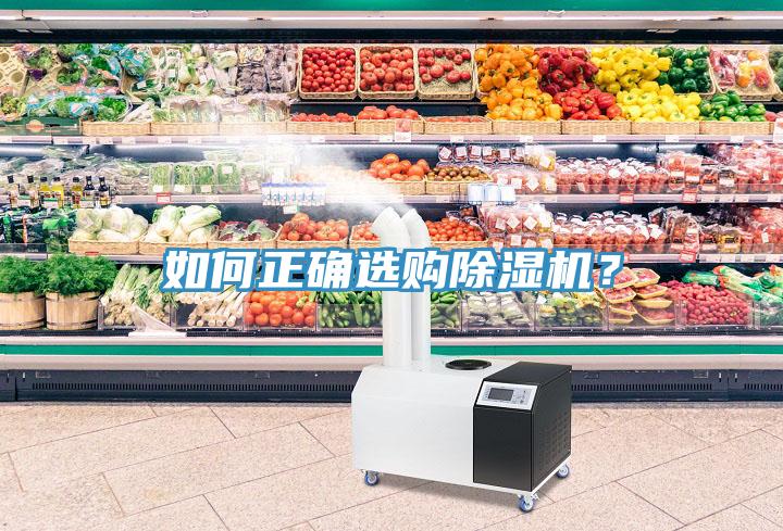 如何正確選購除濕機？