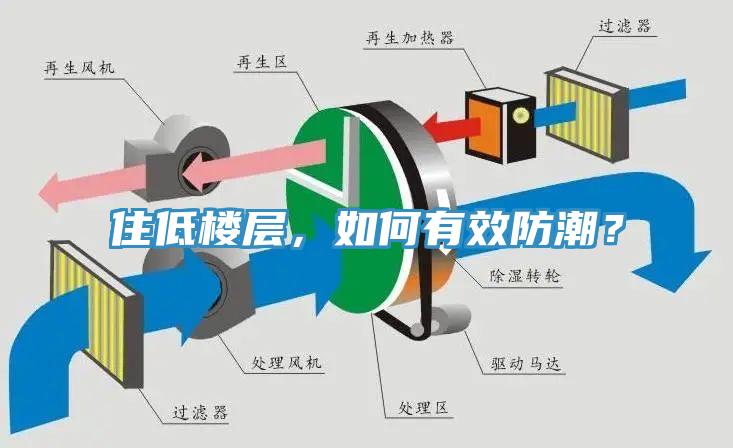 住低樓層，如何有效防潮？