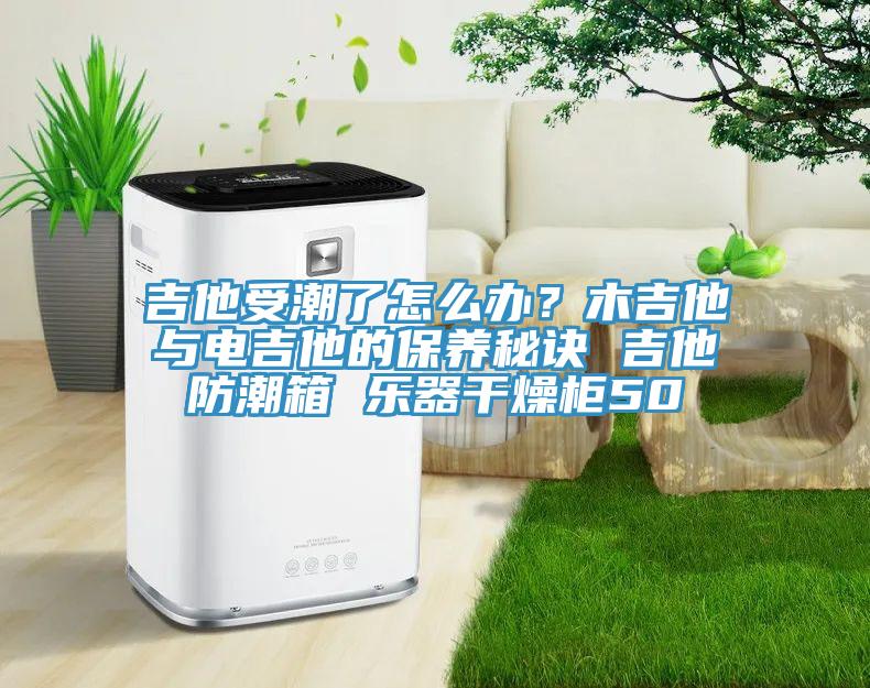 吉他受潮了怎么辦？木吉他與電吉他的保養(yǎng)秘訣 吉他防潮箱 樂(lè)器干燥柜50