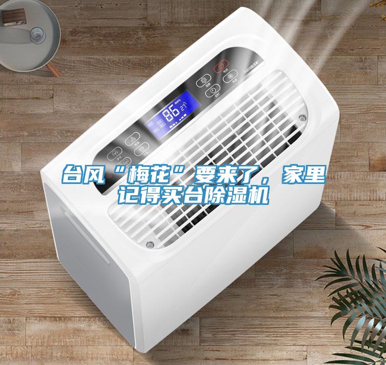 臺風“梅花”要來了，家里記得買臺除濕機