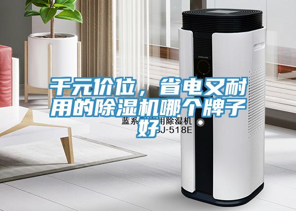 千元價位，省電又耐用的除濕機哪個牌子好