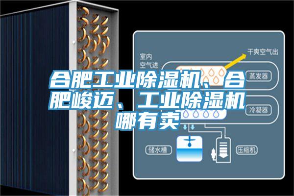 合肥工業(yè)除濕機、合肥峻邁、工業(yè)除濕機哪有賣