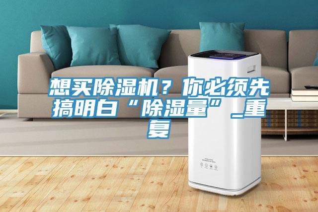 想買(mǎi)除濕機(jī)？你必須先搞明白“除濕量”_重復(fù)