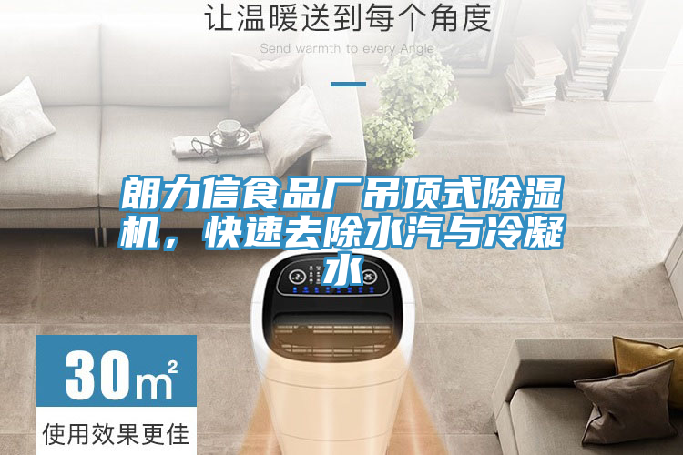 朗力信食品廠吊頂式除濕機(jī)，快速去除水汽與冷凝水
