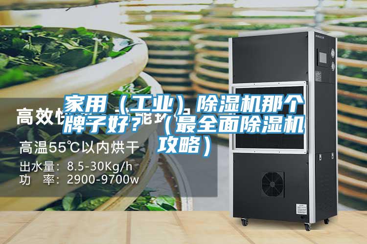 家用（工業）除濕機那個牌子好？（最全面除濕機攻略）
