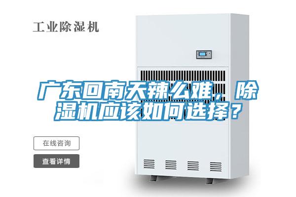 廣東回南天辣么難，除濕機(jī)應(yīng)該如何選擇？