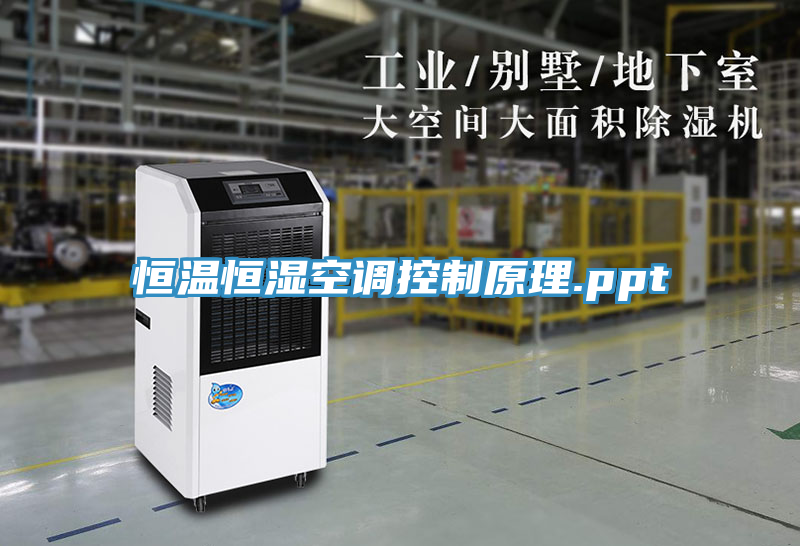 恒溫恒濕空調控制原理.ppt
