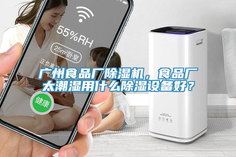 廣州食品廠除濕機，食品廠太潮濕用什么除濕設(shè)備好？