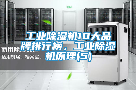 工業除濕機10大品牌排行榜，工業除濕機原理(5)