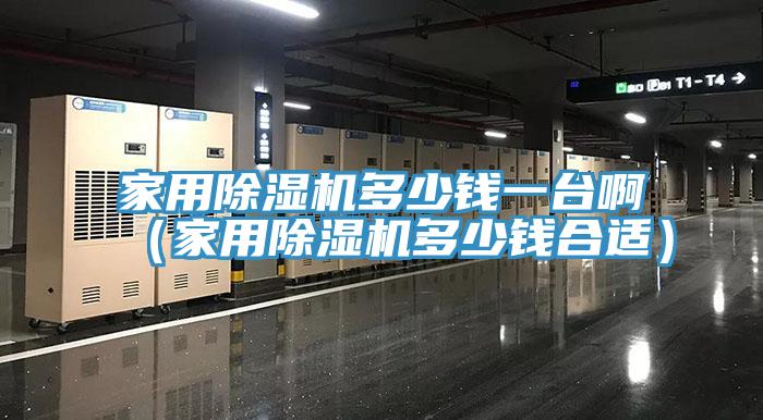 家用除濕機多少錢一臺?。矣贸凉駲C多少錢合適）