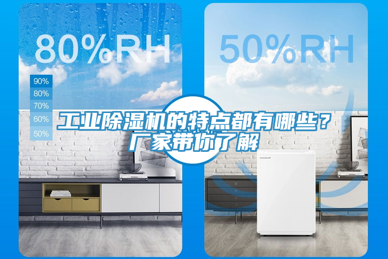 工業(yè)除濕機的特點都有哪些？廠家?guī)懔私?></div>
								<div   id=