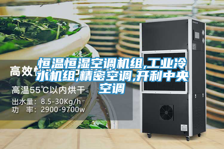 恒溫恒濕空調機組,工業(yè)冷水機組,精密空調,開利中央空調
