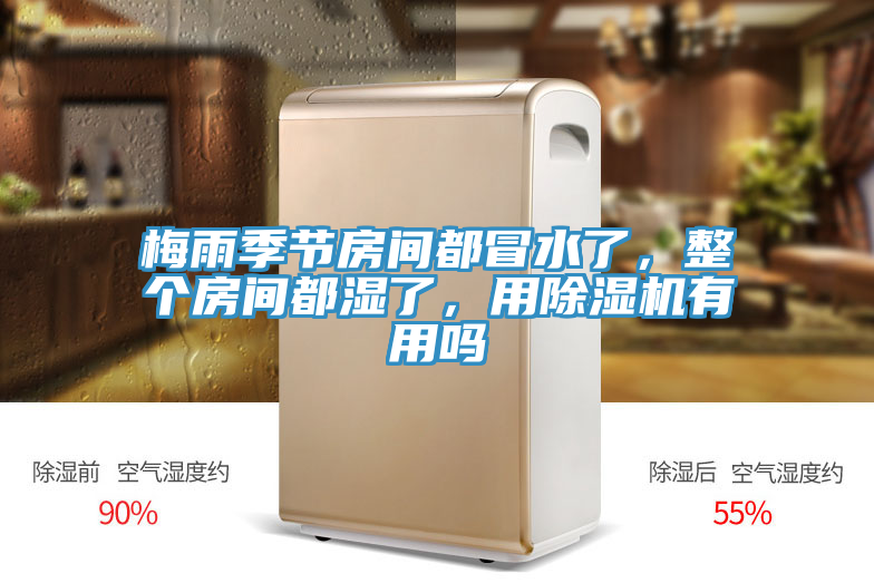 梅雨季節(jié)房間都冒水了，整個房間都濕了，用除濕機有用嗎