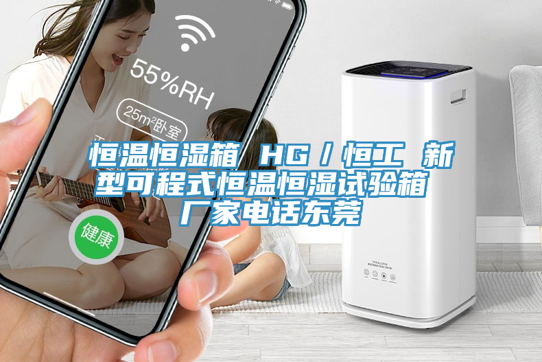 恒溫恒濕箱 HG／恒工 新型可程式恒溫恒濕試驗(yàn)箱 廠家電話東莞