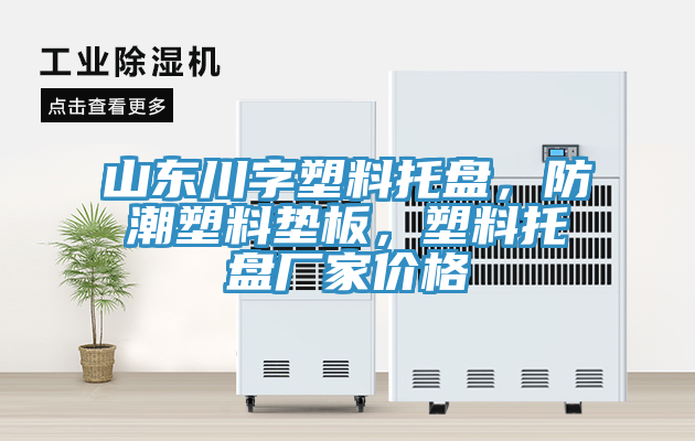 山東川字塑料托盤(pán)，防潮塑料墊板，塑料托盤(pán)廠家價(jià)格