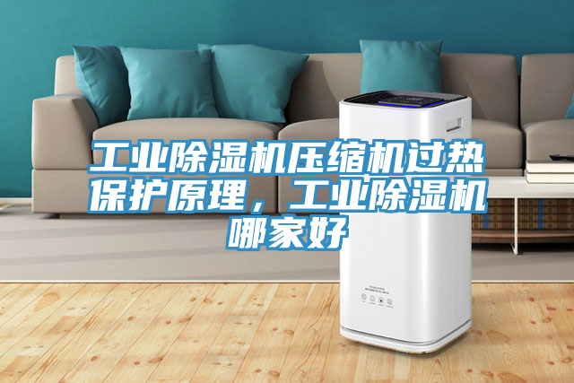 工業除濕機壓縮機過熱保護原理，工業除濕機哪家好