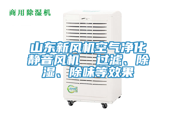 山東新風(fēng)機(jī)空氣凈化靜音風(fēng)機(jī)  過(guò)濾、除濕、除味等效果