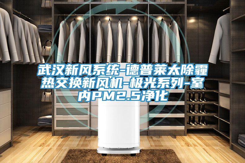 武漢新風系統(tǒng)-德普萊太除霾熱交換新風機-極光系列-室內PM2.5凈化