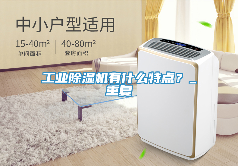 工業(yè)除濕機(jī)有什么特點？_重復(fù)