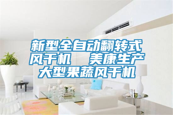 新型全自動翻轉(zhuǎn)式風干機  美康生產(chǎn)大型果蔬風干機