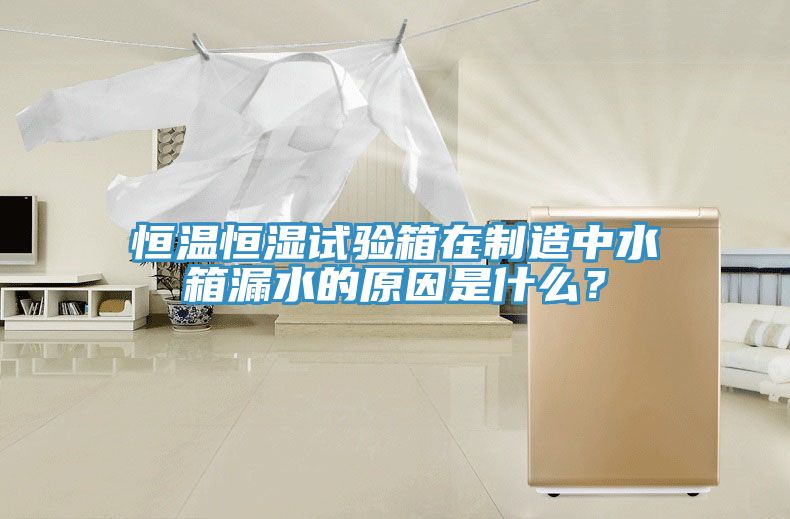 恒溫恒濕試驗(yàn)箱在制造中水箱漏水的原因是什么？