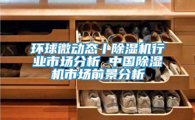 環球微動態丨除濕機行業市場分析 中國除濕機市場前景分析
