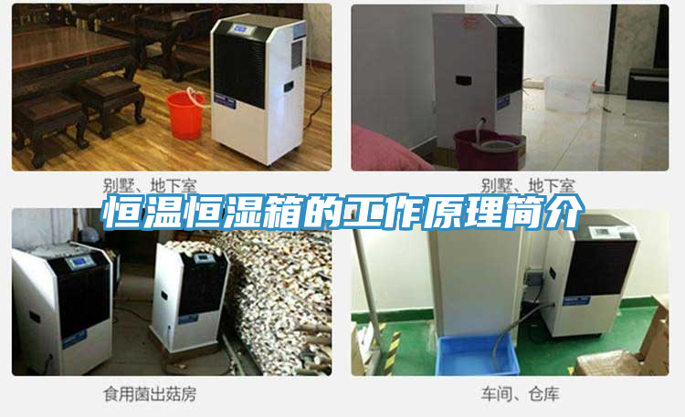 恒溫恒濕箱的工作原理簡(jiǎn)介