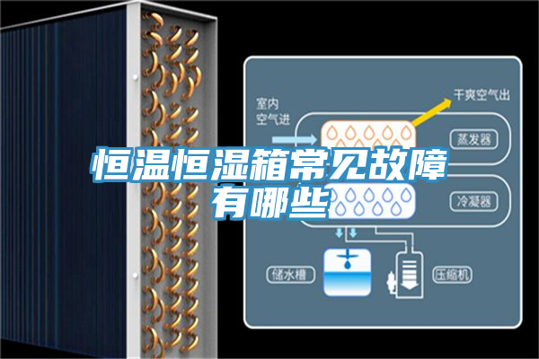 恒溫恒濕箱常見(jiàn)故障有哪些