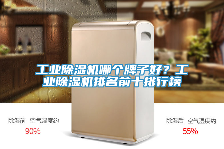 工業除濕機哪個牌子好？工業除濕機排名前十排行榜