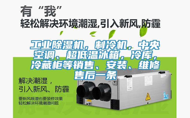 工業除濕機，制冷機，中央空調、超低溫冰箱，冷庫，冷藏柜等銷售、安裝、維修售后一條