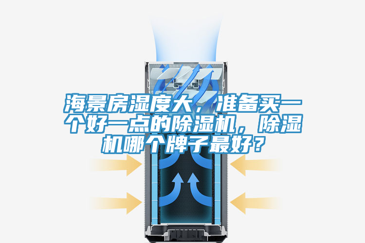 海景房濕度大，準備買一個好一點的除濕機，除濕機哪個牌子最好？